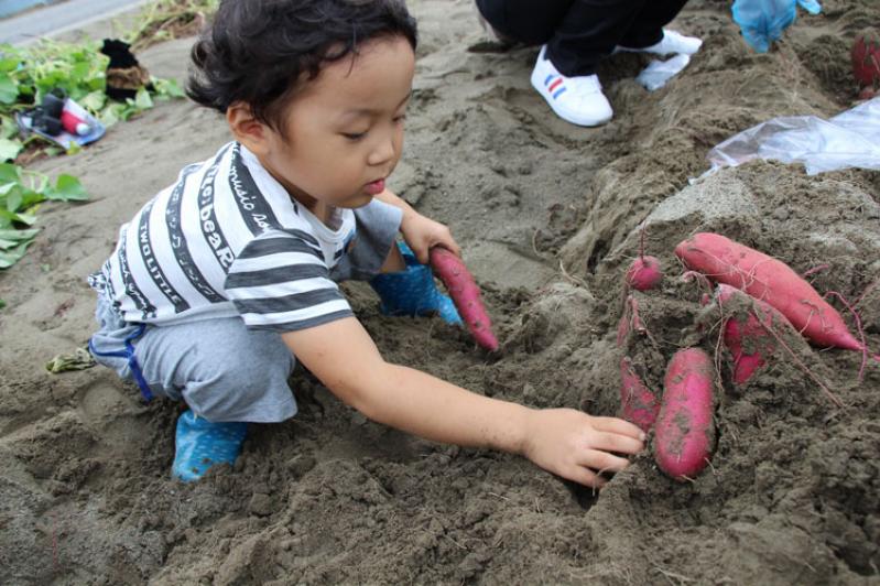 徳島・鳴門へ!グルメとアートな子連れ旅<前編>