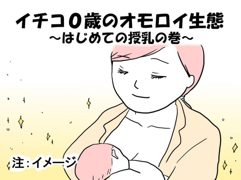 【イチコ0歳のオモロイ生態】はじめての授乳の巻