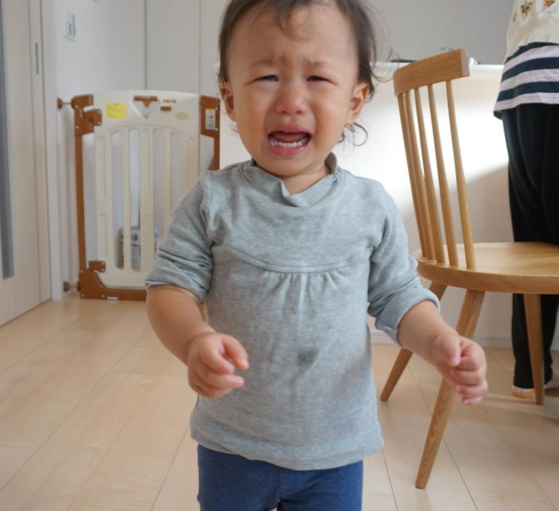 投稿写真「娘の翼1歳です」(望・28歳)