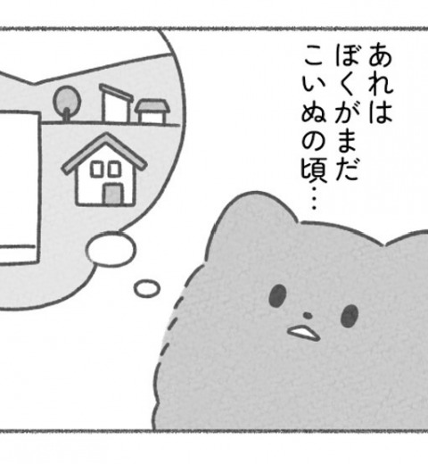 ペットショップから健康診断にやってきた子犬の運命は!?