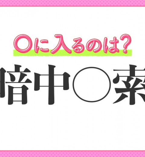 【手がかりなしであれこれ探し求める】四字熟語とは?