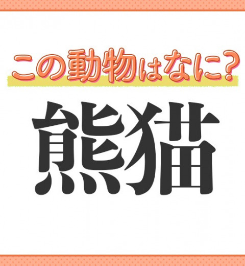【熊猫】はなんて読む?動物園の大スター!
