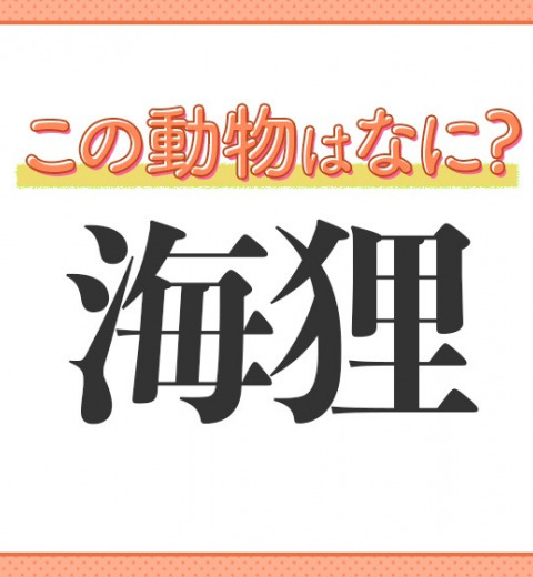 【海狸】はなんて読む?特徴はズバリ、歯です!