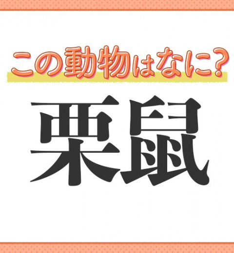 【栗鼠】はなんて読む?森の小動物といえば…?