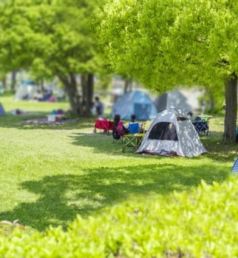ダイソーの100円テントを徹底検証!サイズや素材、機能、たたみ方まで レジャーや公園で大活躍♡