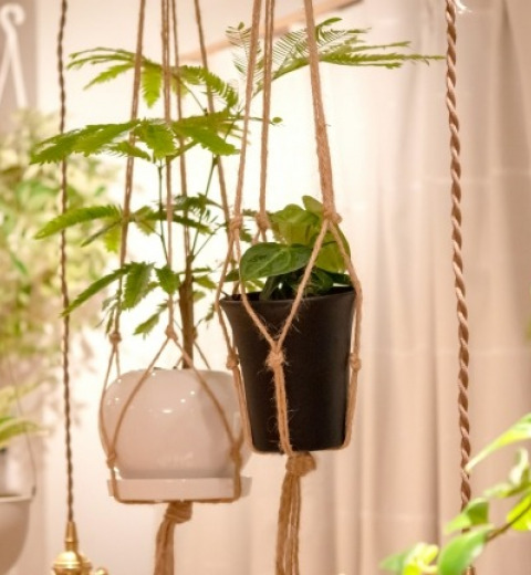 【観葉植物を吊るす】100均でできるハンギングアイデアをご紹介