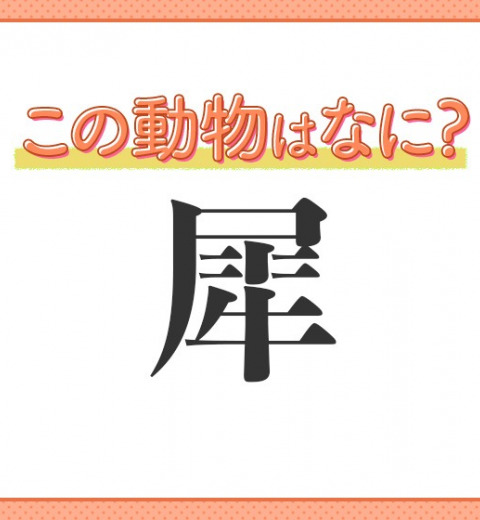 【犀】はなんて読む?立派なツノを持っている動物の名前!