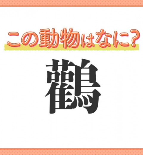 【鸛】はなんて読む?幸せを運ぶ鳥といえば…?