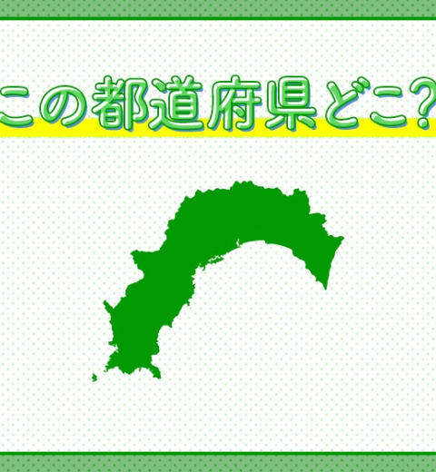 【坂本龍馬が誕生した地!よさこい祭りも有名】この県はどこでしょう?