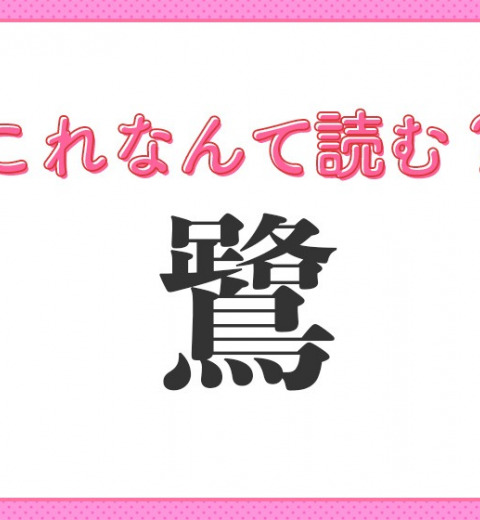【鷺】はなんて読む?水辺によくいる鳥の名前です