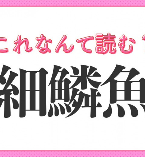 【細鱗魚】はなんて読む?ひらがな2文字の魚です!