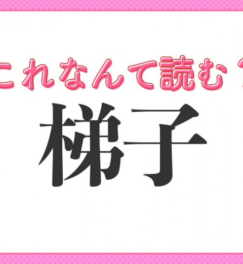 【梯子】はなんて読む?高いところにのぼる道具