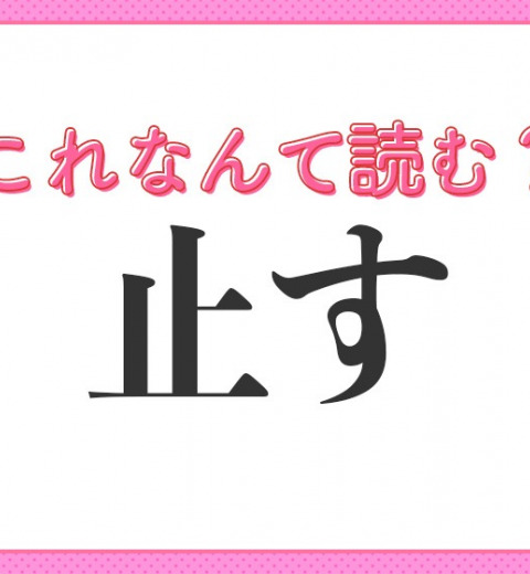 【止す】はなんて読む?「とす」ではありません