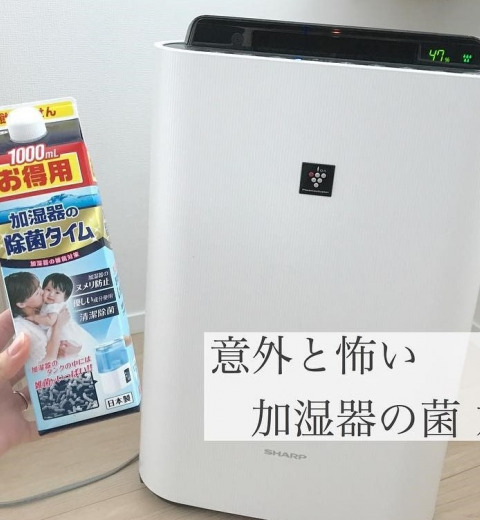 加湿器のカビに要注意！対処法をチェックして安全に使おう