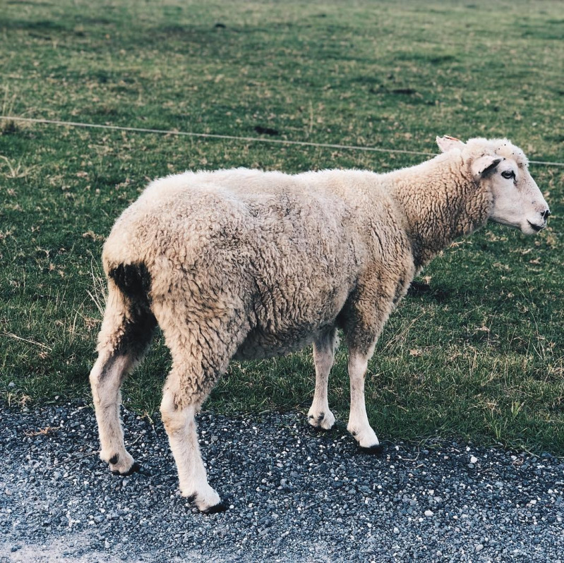 フリースとはどんなもの？素材の基本情報から代表的なおすすめアイテムまで｜mamagirl [ママガール]