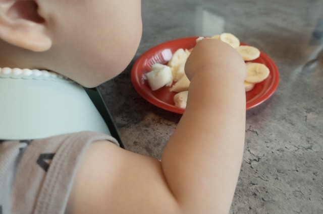 離乳食の椅子はどれを選べばいい おすすめチェア7選とそれぞれの特徴解説 Mamagirl ママガール