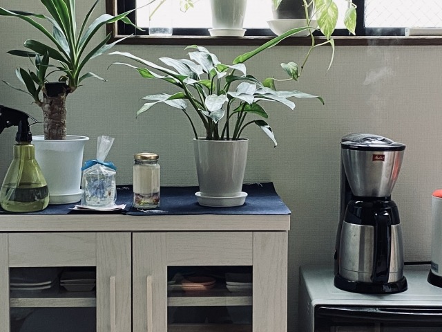 22年最新 食器棚のおすすめ8選 ニトリikeaや機能性ブランドも Mamagirl ママガール