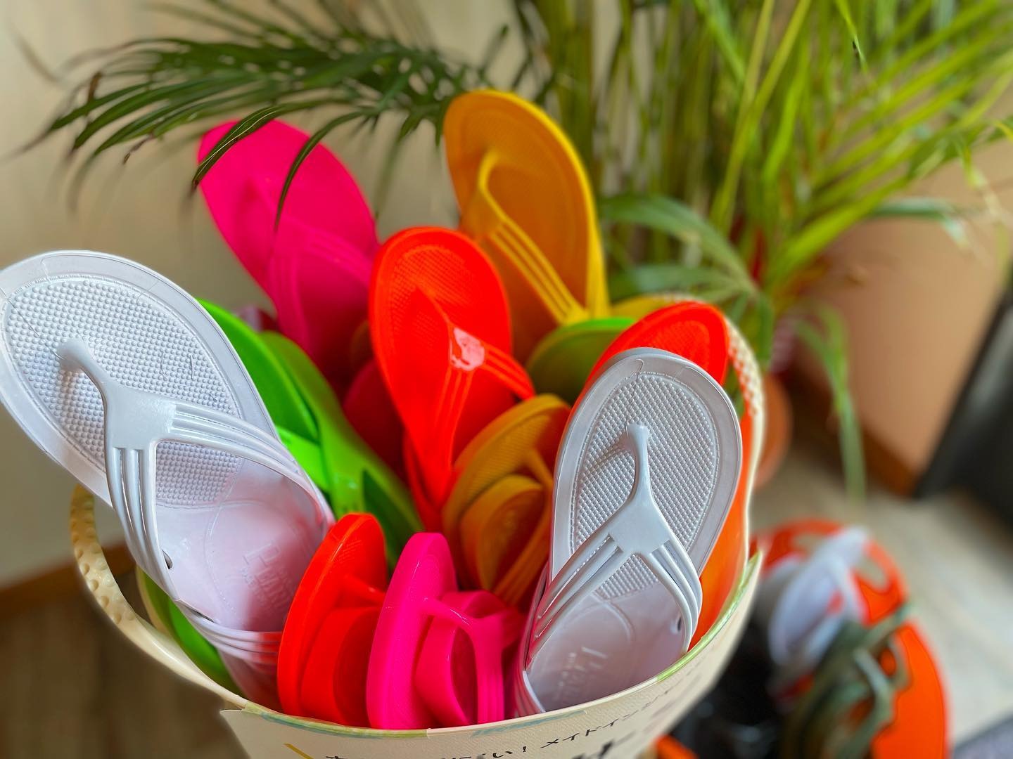 それどこの 質問攻め確実 おしゃれなプチプラ ギョサン にファン急増 Mamagirl ママガール