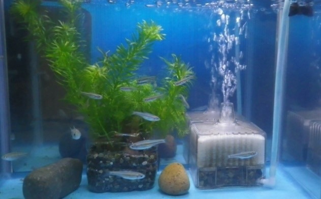 シリコンチューブもダイソーで手に入る 使い心地は 使用例も詳しく公開 Mamagirl ママガール