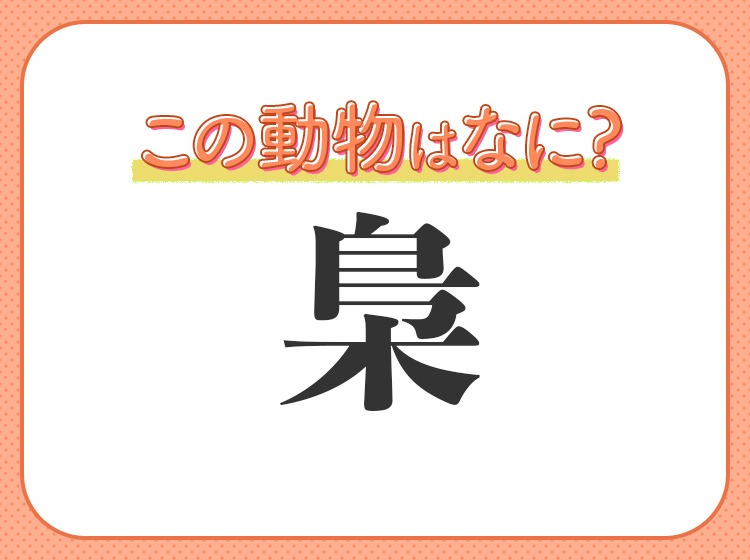 梟 はなんて読む 魔法使いの映画に出てくる動物と言えば Mamagirl ママガール